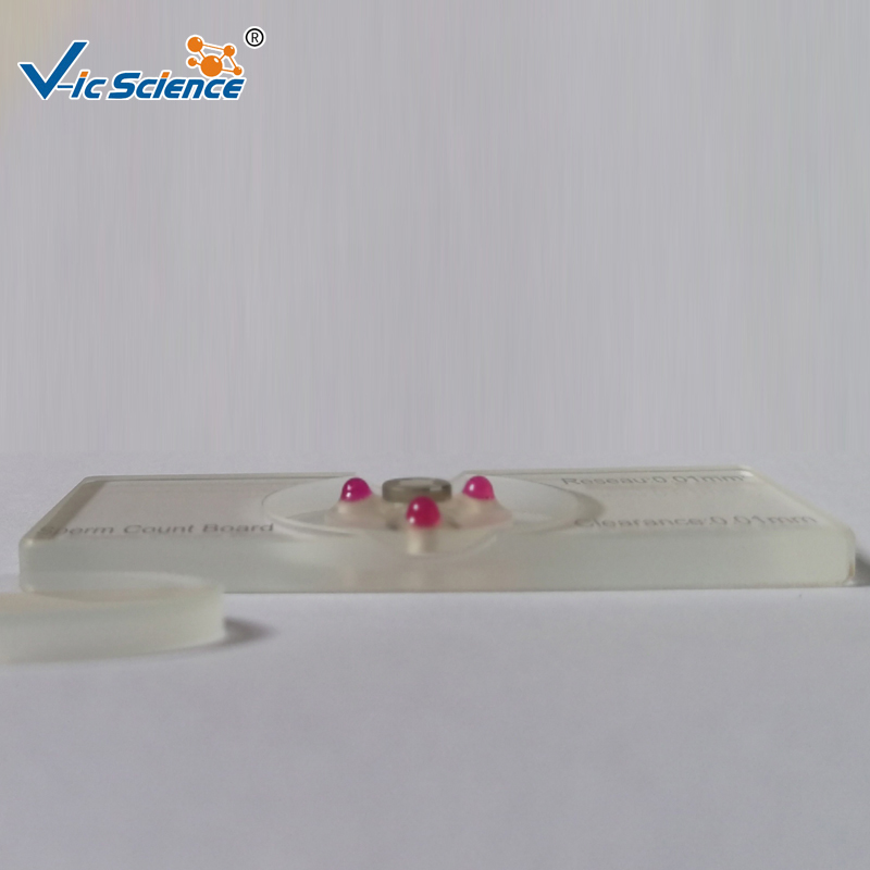 Medical  Glass lab Sperm Count - Medical Lab Board recensione e prezzo