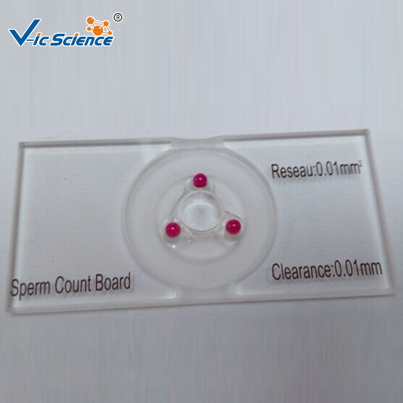 Medical  Glass lab Sperm Count - Medical Lab Board recensione e prezzo